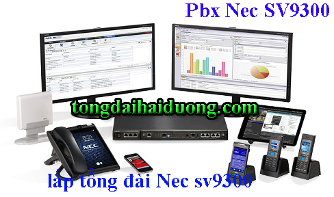 cong-ty-lap-tong-dai-nec-tai-da-nang